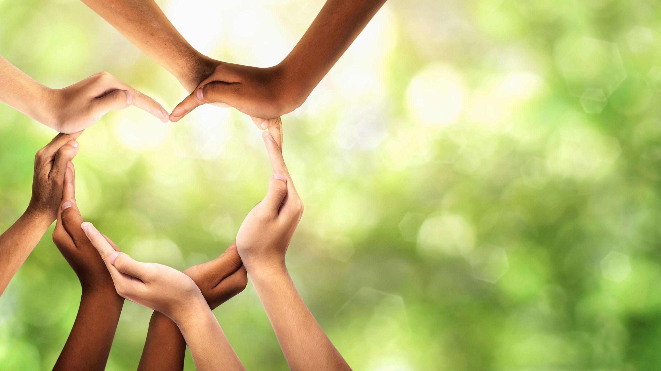 The importance of Partners