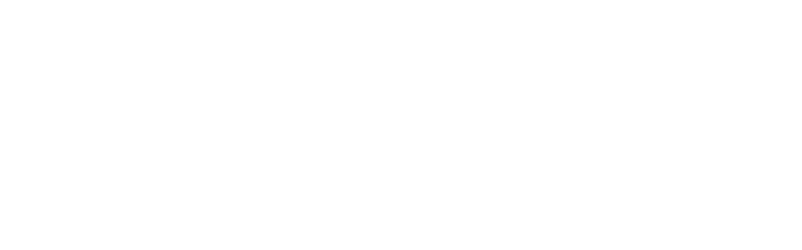 The Risk People, Culture & Belonging logo
